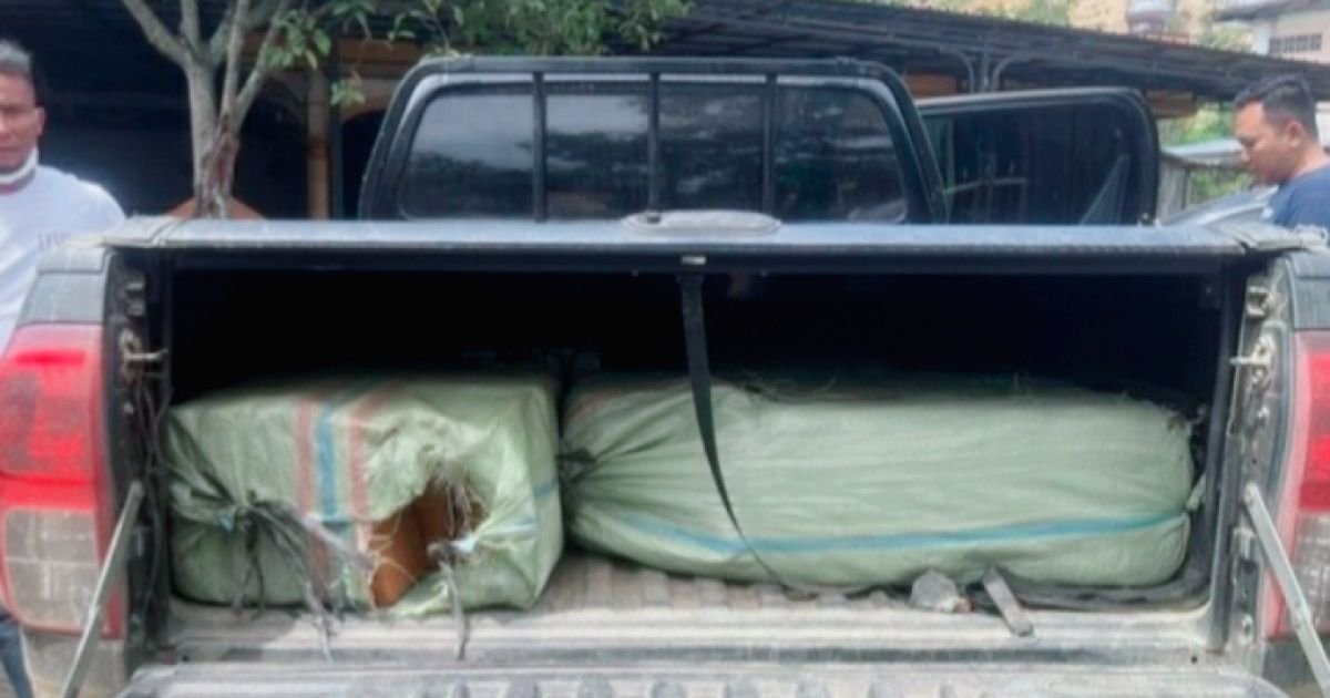 BNN Ungkap Kasus Peredaran Narkoba Jaringan Aceh - Medan Barang Bukti 200 Kg Ganja