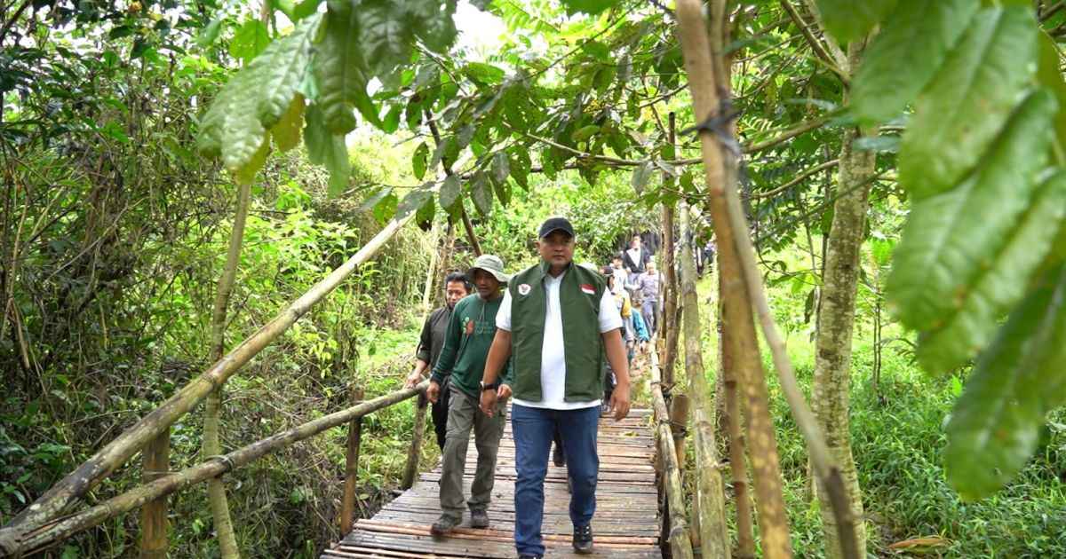 Pemkab Bogor Targetkan Penanaman Pohon Tahap Awal Capai 220 Hektar