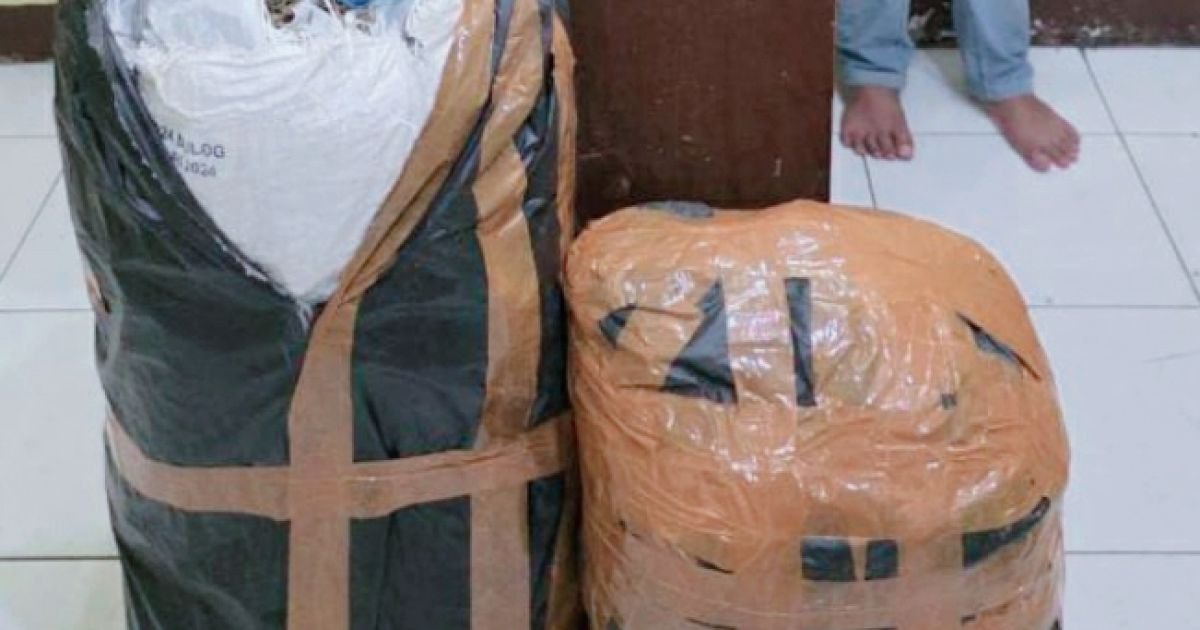 Dit Reserse Narkoba Polda Sumatera Utara Berhasil Ungkap 20 Kg Ganja Amankan Tiga Tersangka