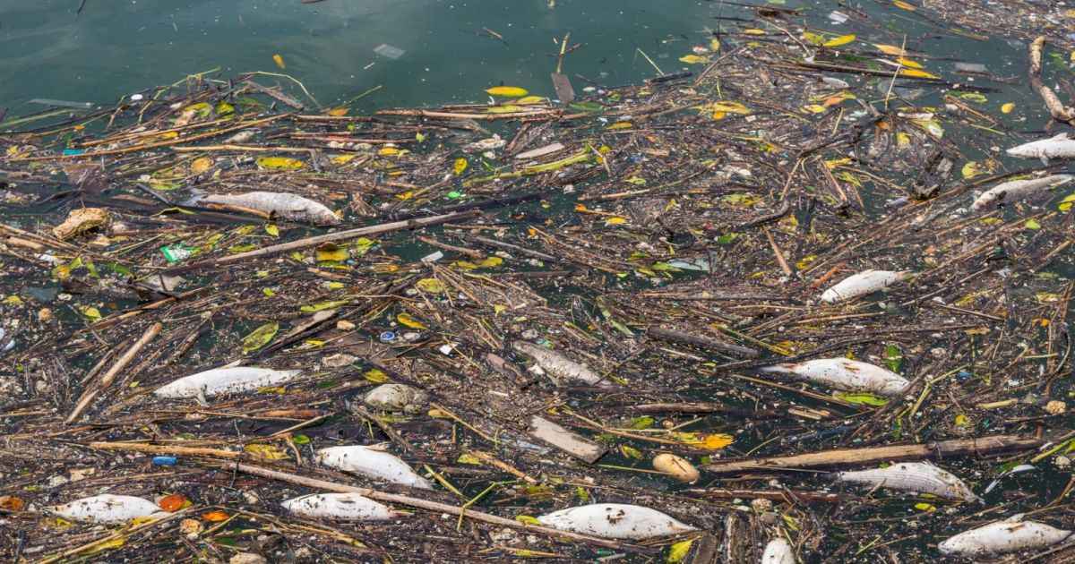 Cisadane Tercemar, Banten Bersih Bersama : Penjara Pejabat yang Lalai !