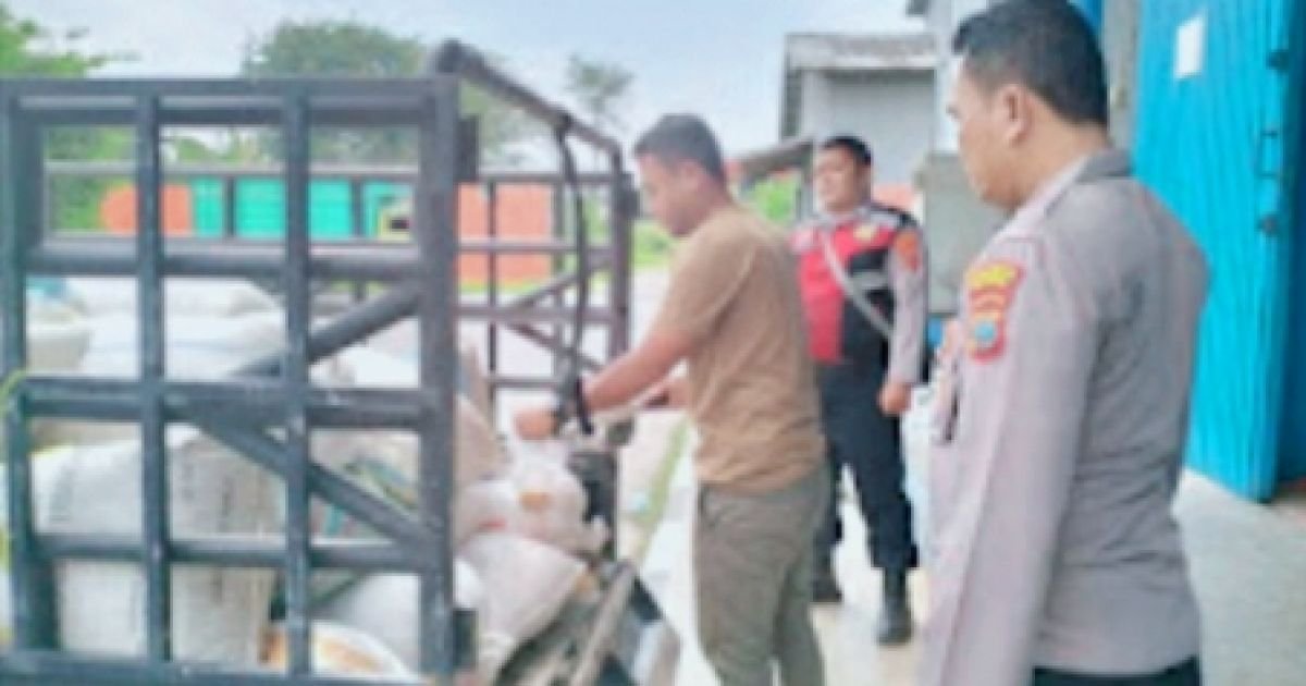 Panen Jagung Dari Wilayah Hukum Polres Batu Bara Didistribusikan Ke Buloq Asahan