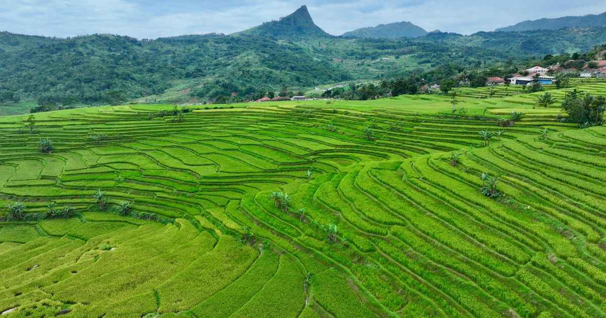 Pemkab Bogor Perkuat Sukamakmur sebagai Pusat Ekonomi Baru, Dorong Percepatan CDOB Bogor Timur