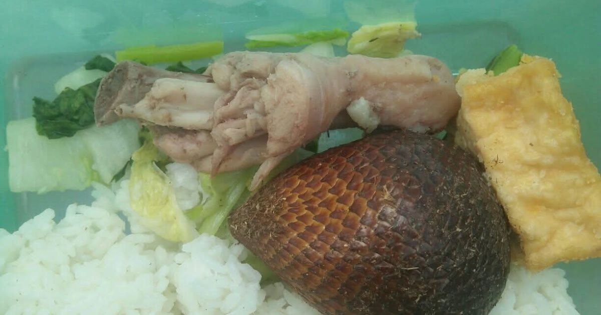 Ramai Cibiran dan Heboh MBG,Makanan Basi di SDN Sukajaya 05, Penyelenggara Akui Kelalaian dan Janji Perbaikan