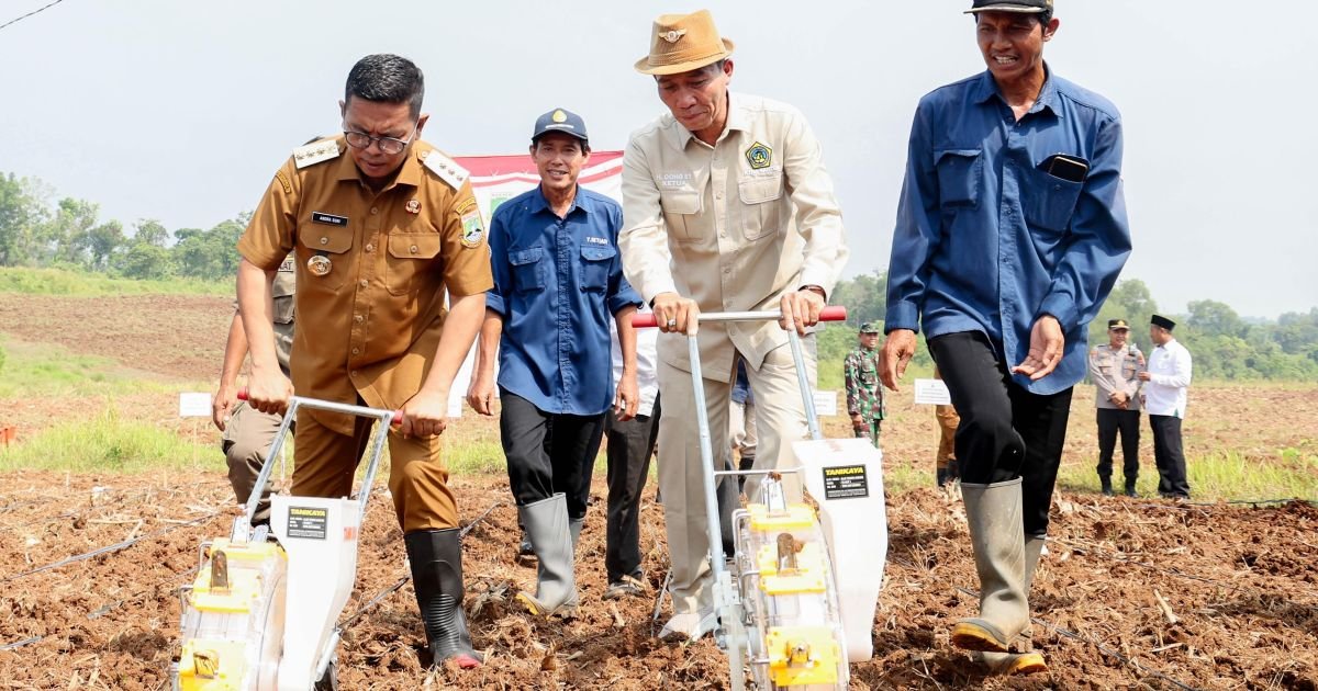Gubernur Andra Soni Canangkan Gerakan Tanam Jagung di Lebak