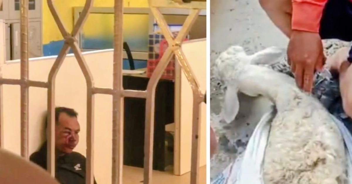 Pria Ini Babak Belur Dihajar Massa Kepergok Curi Kambing di Perkebunan Sei Balai  ‎