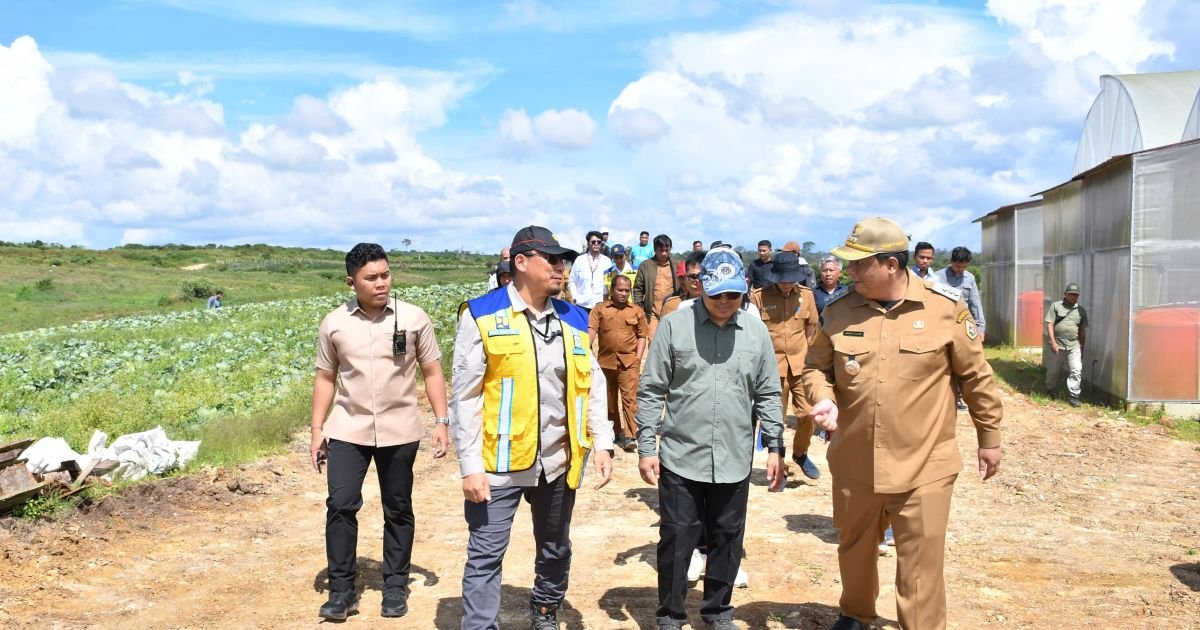 Gandeng Pemerintah Pusat, Bupati Vandiko  Siapkan Samosir Jadi Sentra Bawang Putih Nasional