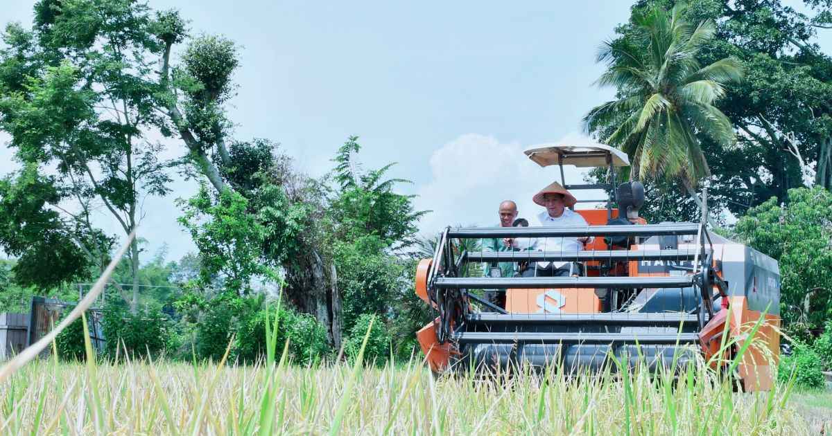 Taksi Alsintan Permudah Petani, Bupati Samosir Vandiko T. Gultom Turun Langsung Panen Padi Bersama Masyarakat