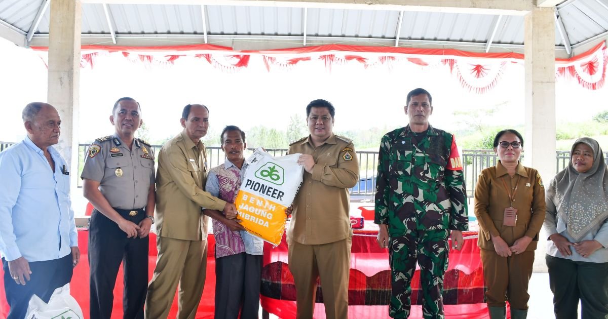 Gubsu Bantu Bibit Jagung 40 Hektare, Bupati Vandiko Turun Lapangan Tanam Benih Bersama Petani