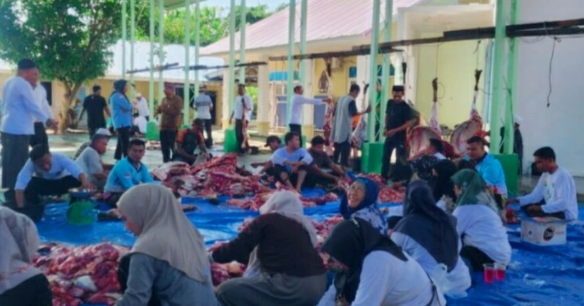Di Idhul Adha 1447 Hijriah Kementrian Agama Batu Bara Sembeli 10 Ekor Hewan Qurban