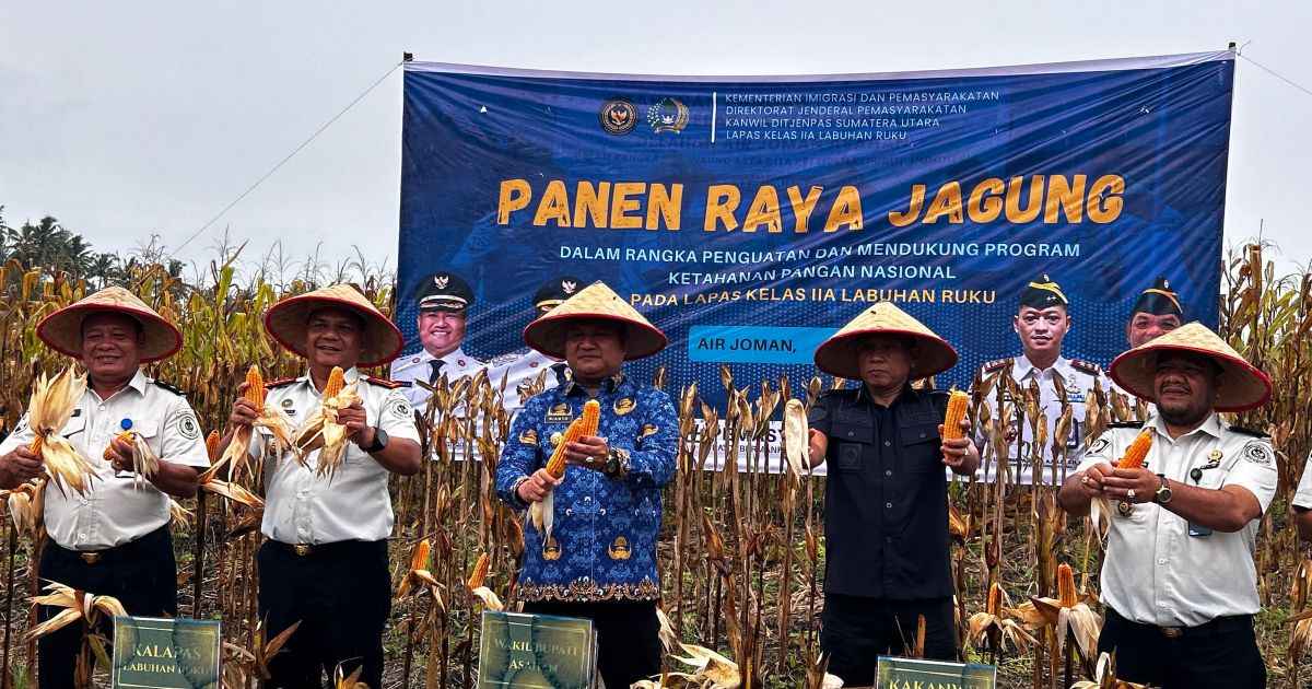 Dari Balik Tembok Pemasyarakatan, Jagung Berlimpah: Lapas Labuhan Ruku Sukses Gelar Panen Raya