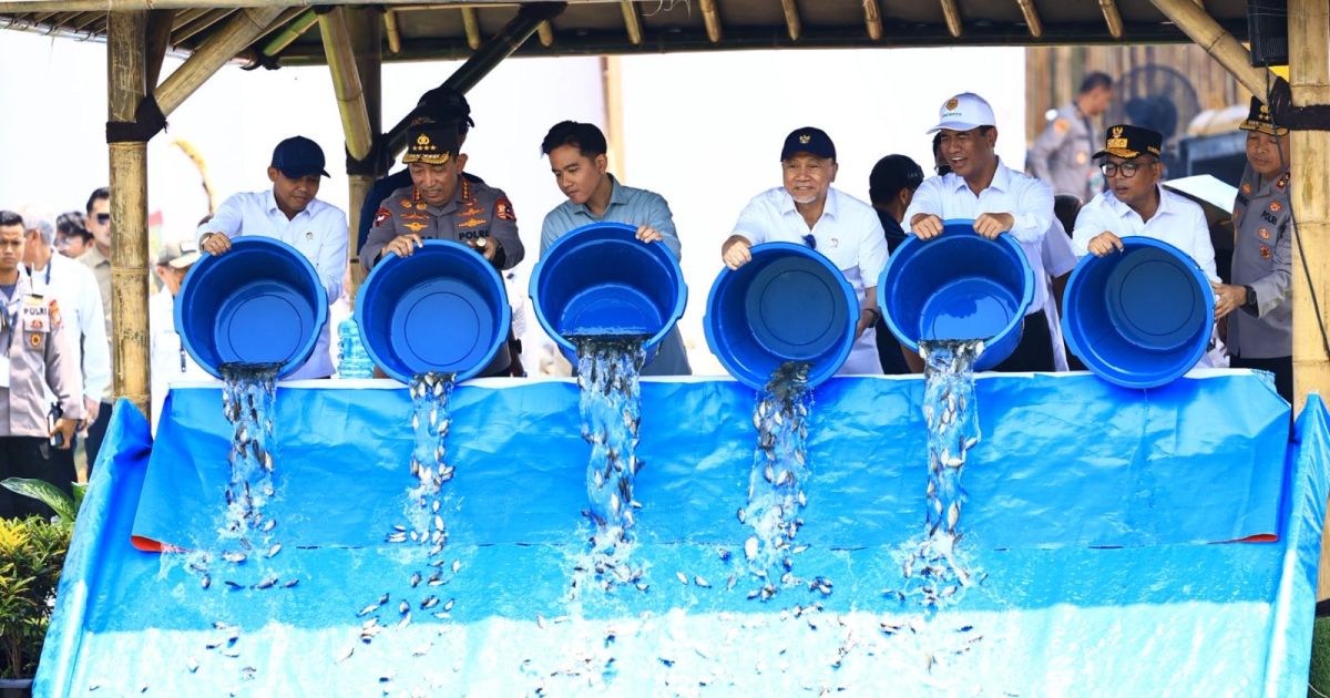 Wapres Gibran Tebar 80 Ribu Bibit Ikan Nila di Banten: Dorong Ketahanan Pangan dan Ekonomi Rakyat