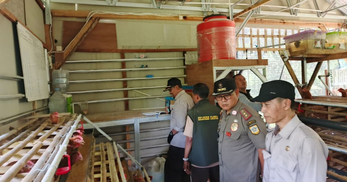 Ket foto : Usaha Peternakan Ayam petelur dan Ayam Daging di Desa Cibanteng, Kecamatan Ciampea (Jef)