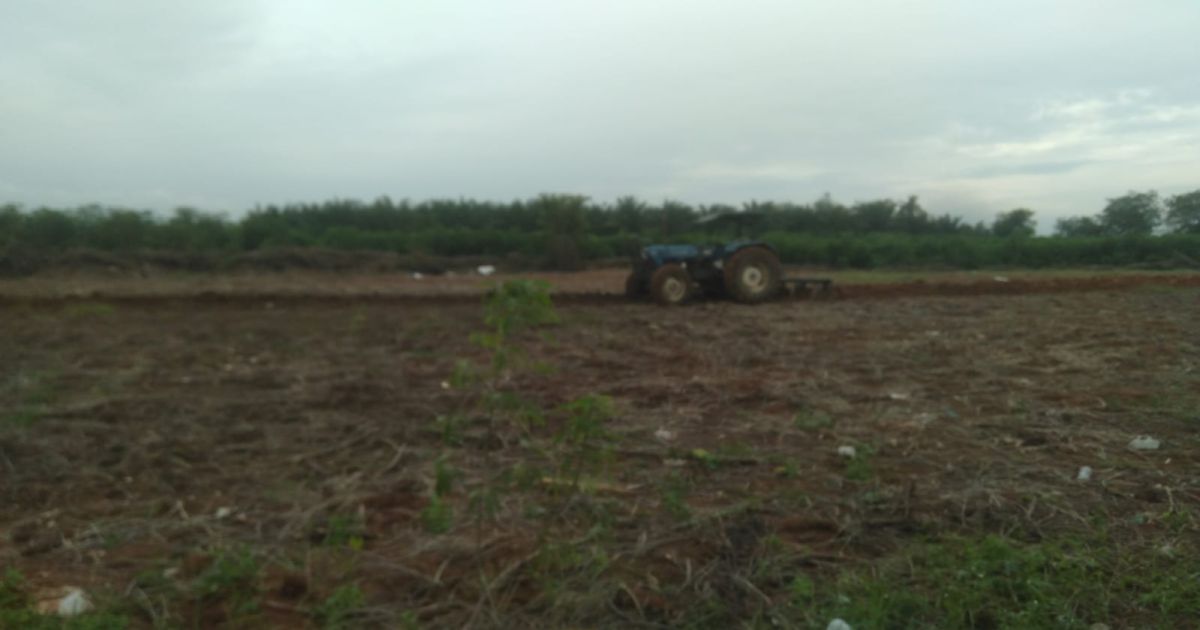 Satpol PP Batu Bara Stop Mengarab Lahan Belakang Kantor Bupati !