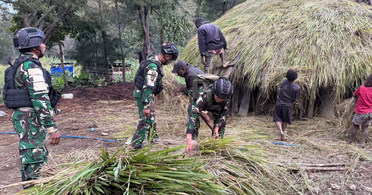 Gotong Royong Renovasi Rumah Adat Honai Papua Wujud Cinta Satgas Yonif 511/DY