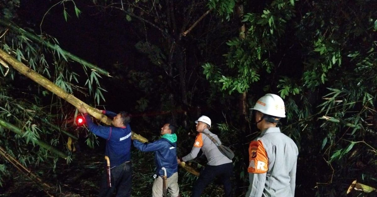 Reaksi Cepat Tim SAR Sat Brimob Polda Jabar Evakuasi Pohon Tumbang di Sumedang