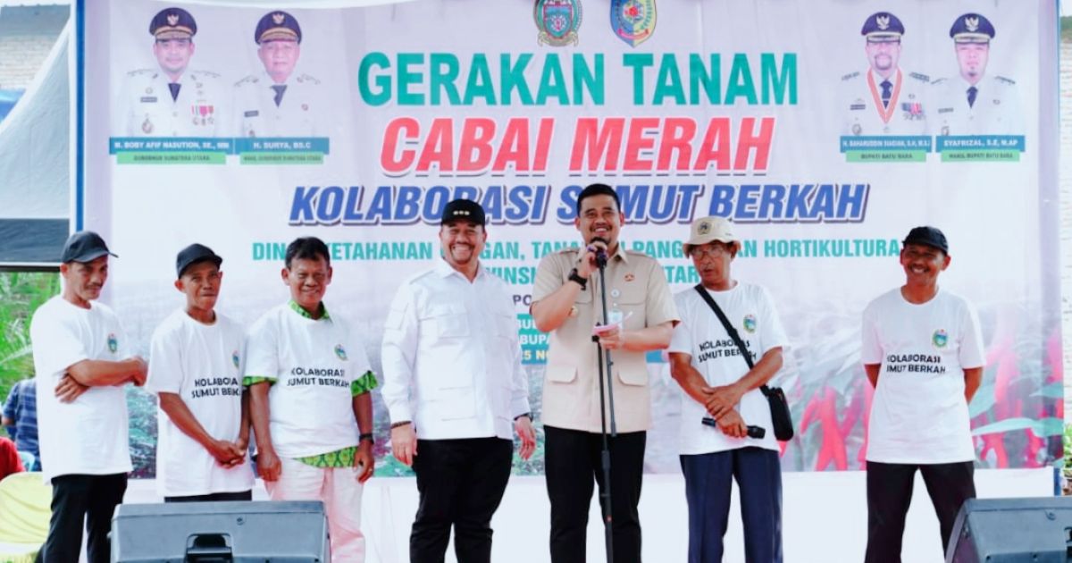 Penguatan Ketahanan Pangan Daerah, Bupati Baharuddin Bersama Gubsu Bobby Laksanakan Gerakan Tanam Cabai Bersama