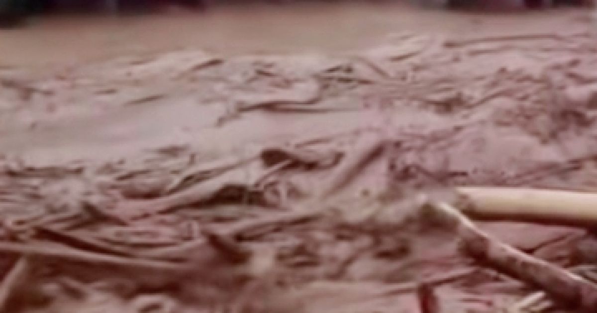 Pray For  Sumut  ! Sudah 43 Orang Meninggal 52 Hilang Dalam Pencarian Akibat Bencana Alam di 12 Kabupaten