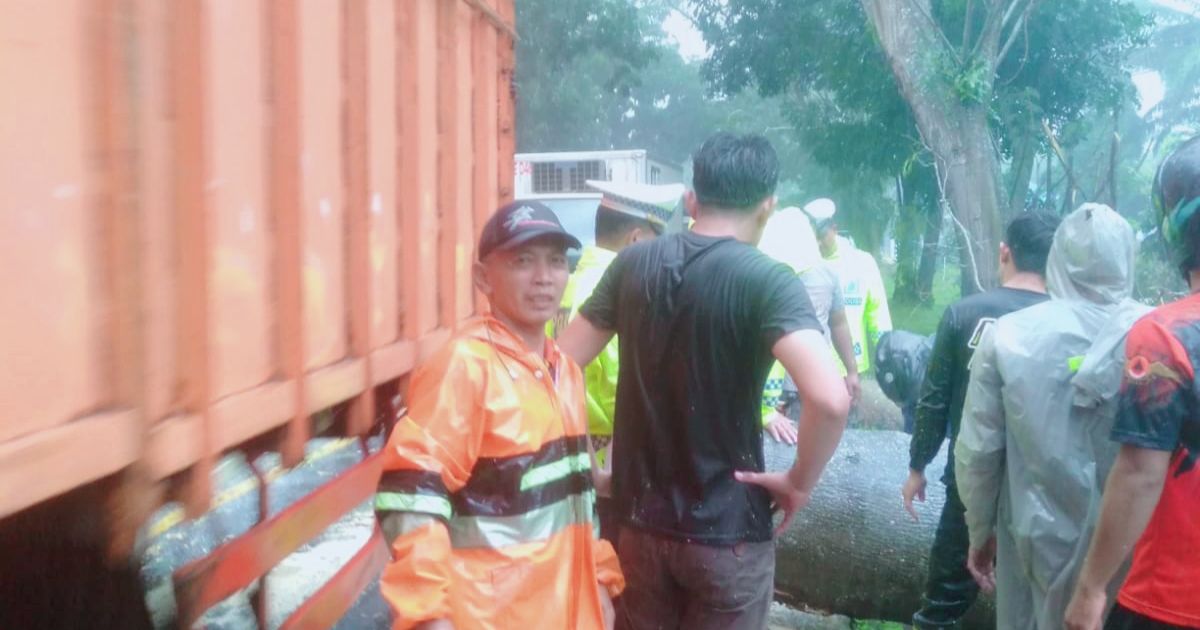 BPBD bersama Dinas Perkim LH Dan Satlantas Batu Bara Laksanakan Penanganan Darurat Pohon Tumbang, Warga Diimbau Tetap Waspada