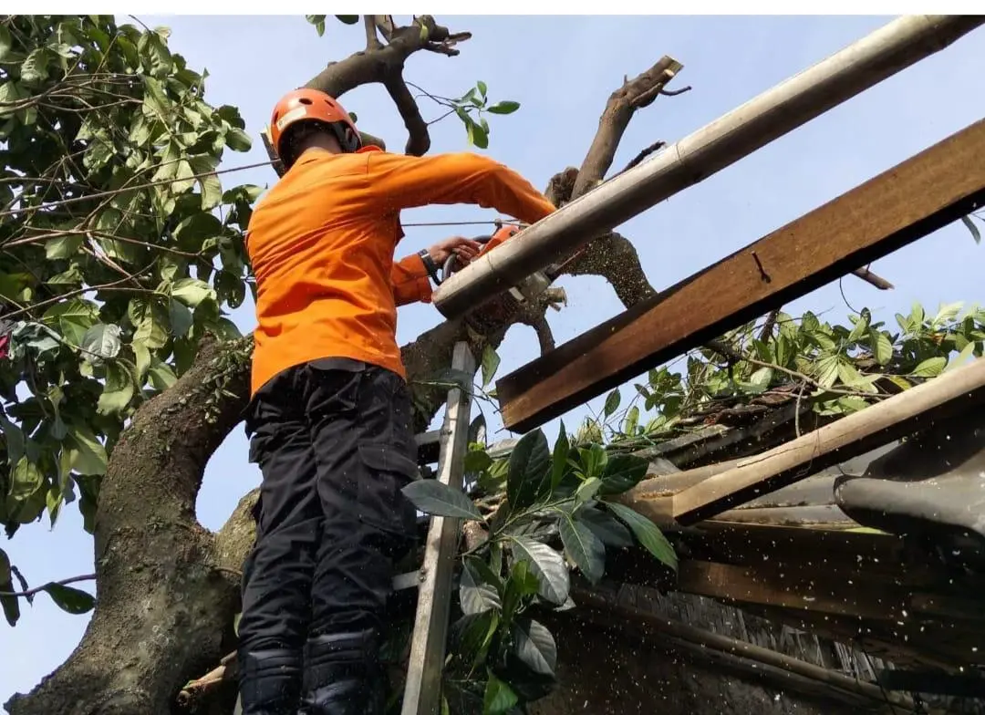 Pohon Tumbang dan 75 unit Rumah Rusak Diterpa Hujan Deras dan Angin Kencang 